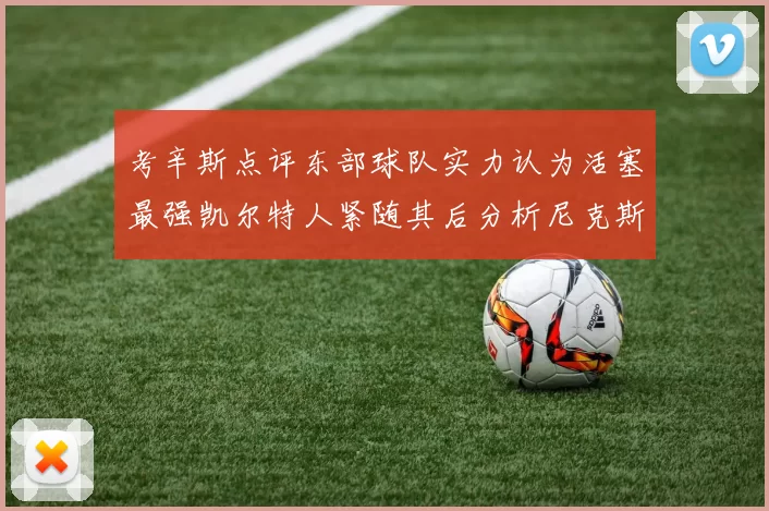 考辛斯点评东部球队实力认为活塞最强凯尔特人紧随其后分析尼克斯不足之处